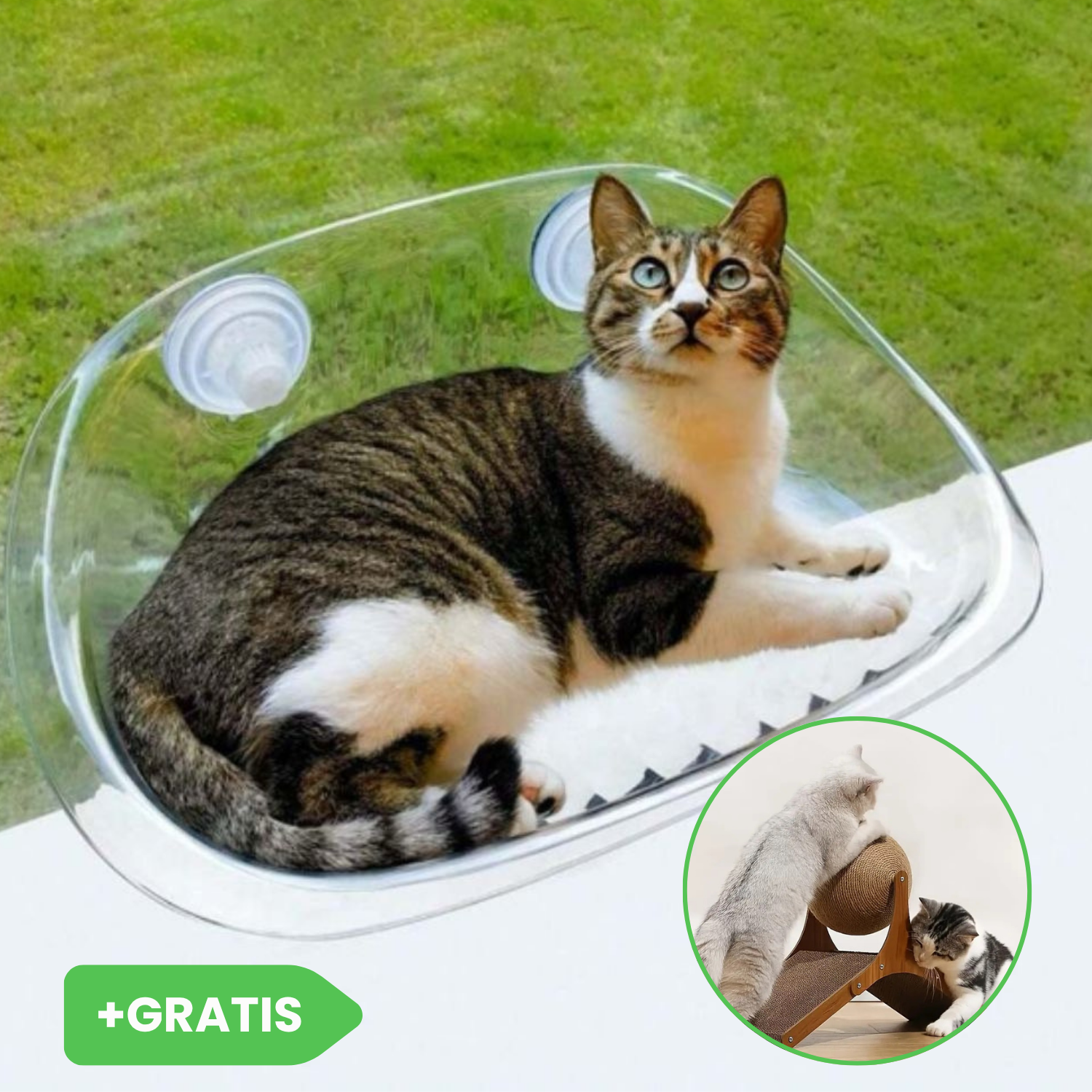 Ablakra szerelhető macskaágy CATNEST + forgó macskajáték labda JISADER GRATIS